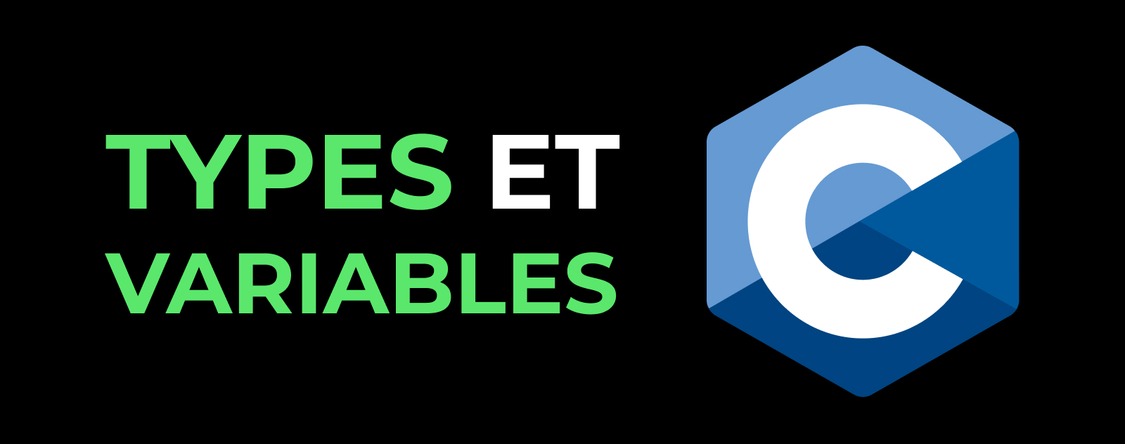 Comprendre les 4 types essentiels en C